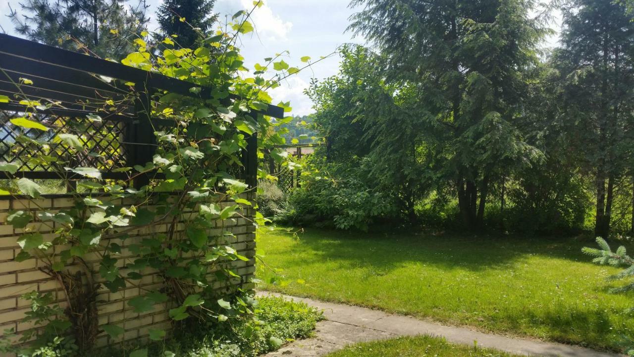 Swinna - Brzozowy Zagajnik Exterior foto